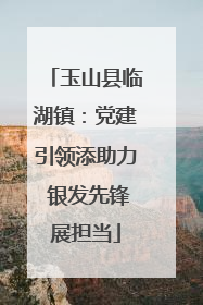 玉山县临湖镇：党建引领添助力 银发先锋展担当
