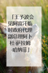 王予波会见阿富汗临时政府代理副总理阿卜杜·萨拉姆·哈纳菲
