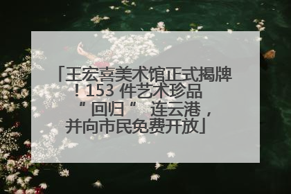 王宏喜美术馆正式揭牌！153 件艺术珍品 “ 回归 ” 连云港，并向市民免费开放