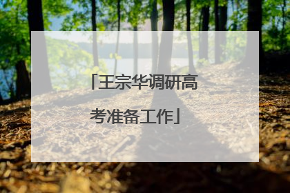 王宗华调研高考准备工作
