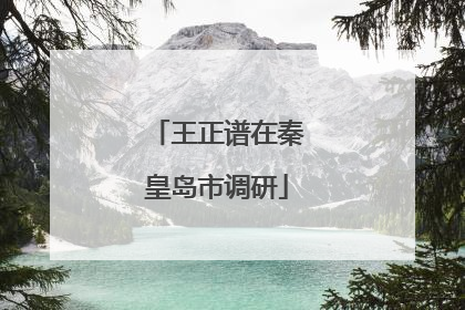 王正谱在秦皇岛市调研