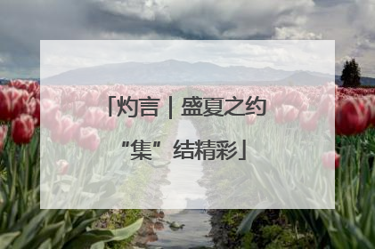 灼言｜盛夏之约 “集”结精彩