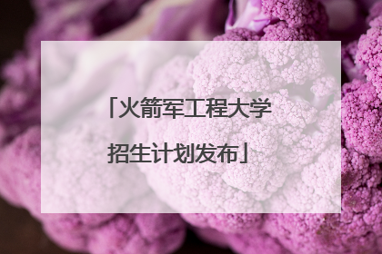 火箭军工程大学招生计划发布