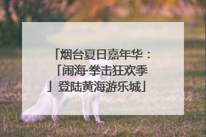 烟台夏日嘉年华：「闹海·拳击狂欢季」登陆黄海游乐城