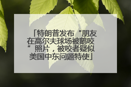 特朗普发布“朋友在高尔夫球场被鹅咬”照片，被咬者疑似美国中东问题特使