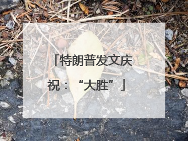 特朗普发文庆祝：“大胜”