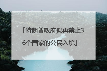 特朗普政府拟再禁止36个国家的公民入境