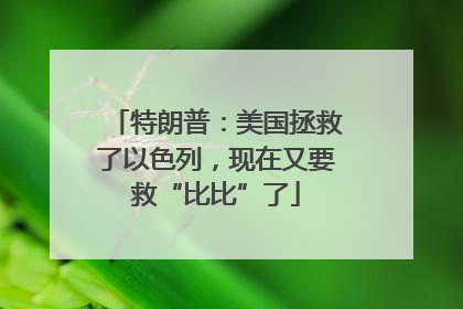 特朗普：美国拯救了以色列，现在又要救“比比”了