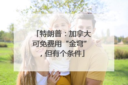 特朗普：加拿大可免费用“金穹”，但有个条件