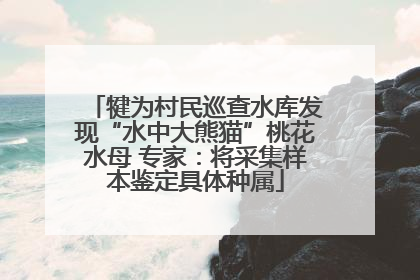 犍为村民巡查水库发现“水中大熊猫”桃花水母 专家：将采集样本鉴定具体种属