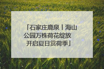 石家庄鹿泉丨海山公园万株荷花绽放 开启夏日赏荷季