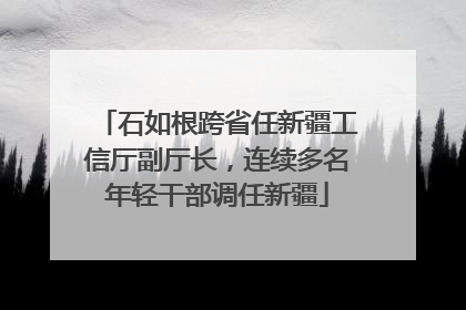 石如根跨省任新疆工信厅副厅长，连续多名年轻干部调任新疆