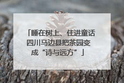 睡在树上、住进童话 四川马边县把茶园变成“诗与远方”
