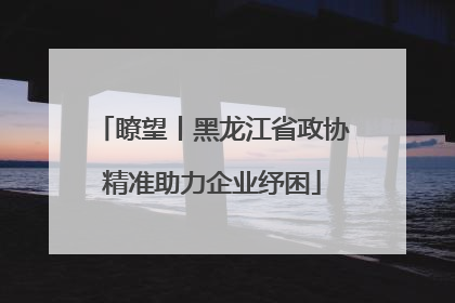 瞭望丨黑龙江省政协精准助力企业纾困