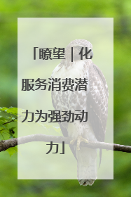 瞭望｜化服务消费潜力为强劲动力