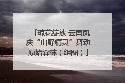 琼花绽放 云南凤庆“山野精灵”舞动原始森林（组图）