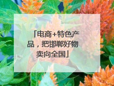 电商+特色产品，把邯郸好物卖向全国