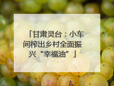 甘肃灵台：小车间榨出乡村全面振兴“幸福油”