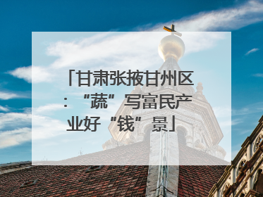 甘肃张掖甘州区：“蔬”写富民产业好“钱”景