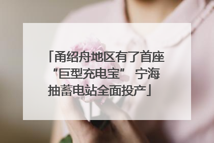 甬绍舟地区有了首座“巨型充电宝” 宁海抽蓄电站全面投产