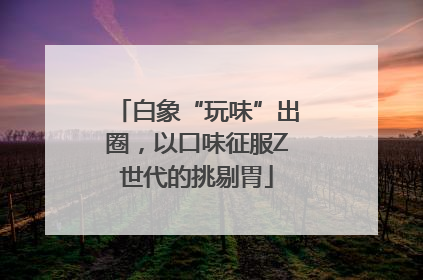 白象“玩味”出圈，以口味征服Z世代的挑剔胃
