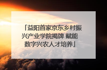益阳首家京东乡村振兴产业学院揭牌 赋能数字兴农人才培养