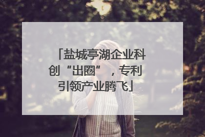 盐城亭湖企业科创“出圈”，专利引领产业腾飞