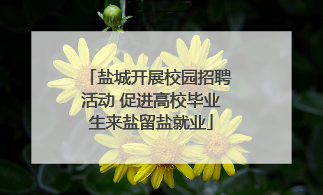 盐城开展校园招聘活动 促进高校毕业生来盐留盐就业