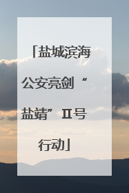 盐城滨海公安亮剑“盐靖”Ⅱ号行动