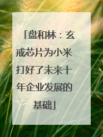 盘和林：玄戒芯片为小米打好了未来十年企业发展的基础