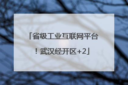 省级工业互联网平台！武汉经开区+2