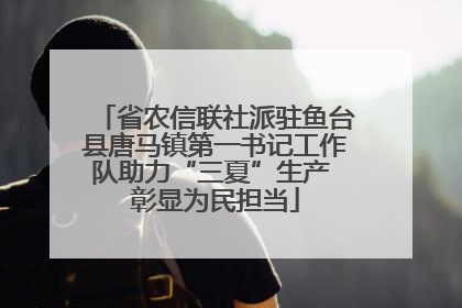 省农信联社派驻鱼台县唐马镇第一书记工作队助力“三夏”生产 彰显为民担当