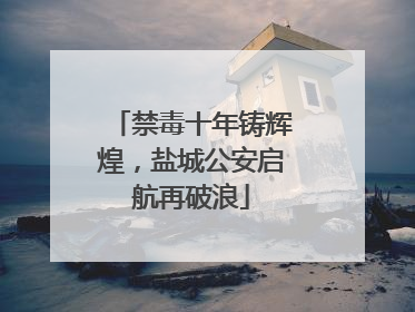 禁毒十年铸辉煌，盐城公安启航再破浪