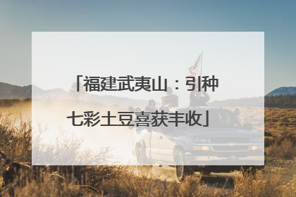福建武夷山：引种七彩土豆喜获丰收