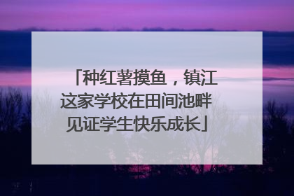 种红薯摸鱼，镇江这家学校在田间池畔见证学生快乐成长