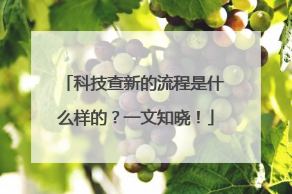 科技查新的流程是什么样的？一文知晓！