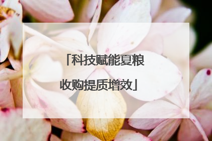 科技赋能夏粮收购提质增效