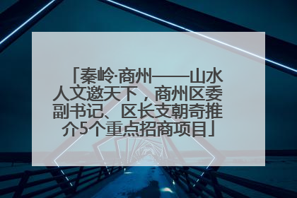 秦岭·商州——山水人文邀天下，商州区委副书记、区长支朝奇推介5个重点招商项目