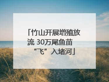 竹山开展增殖放流 30万尾鱼苗“飞”入堵河