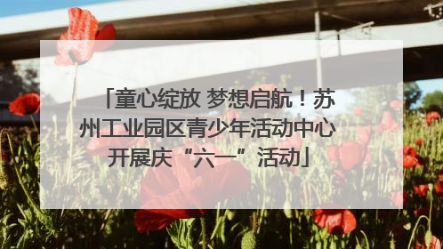 童心绽放 梦想启航！苏州工业园区青少年活动中心开展庆“六一”活动