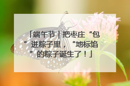 端午节｜把枣庄“包”进粽子里，“地标馅”的粽子诞生了！