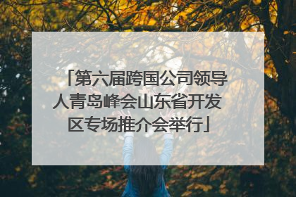 第六届跨国公司领导人青岛峰会山东省开发区专场推介会举行