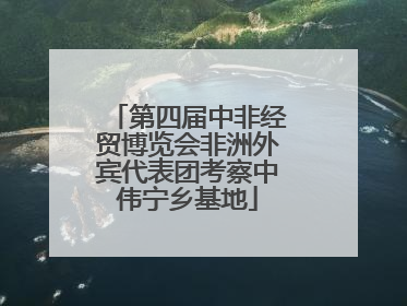 第四届中非经贸博览会非洲外宾代表团考察中伟宁乡基地