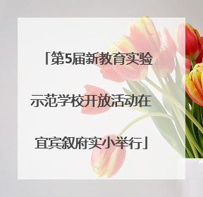 第5届新教育实验示范学校开放活动在宜宾叙府实小举行
