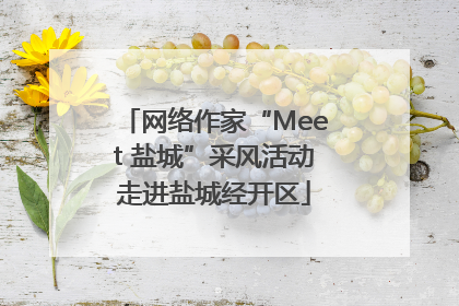 网络作家“Meet 盐城”采风活动走进盐城经开区