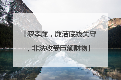罗孝廉，廉洁底线失守，非法收受巨额财物