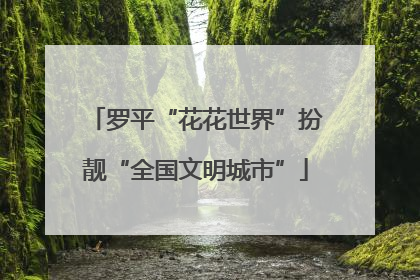 罗平“花花世界”扮靓“全国文明城市”