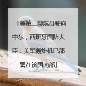 美第三艘航母驶向中东，西班牙国防大臣：美军轰炸机已部署在该国南部