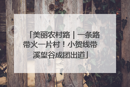 美丽农村路｜一条路带火一片村！小贺线带溪望谷成团出道