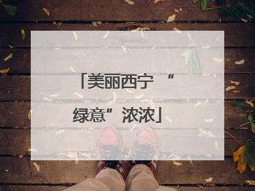 美丽西宁 “绿意”浓浓